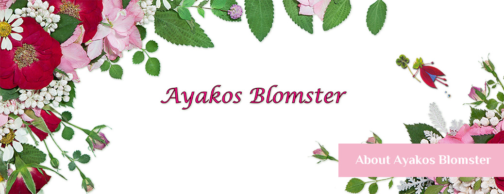 About Ayakos Blomster