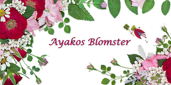 About Ayakos Blomster